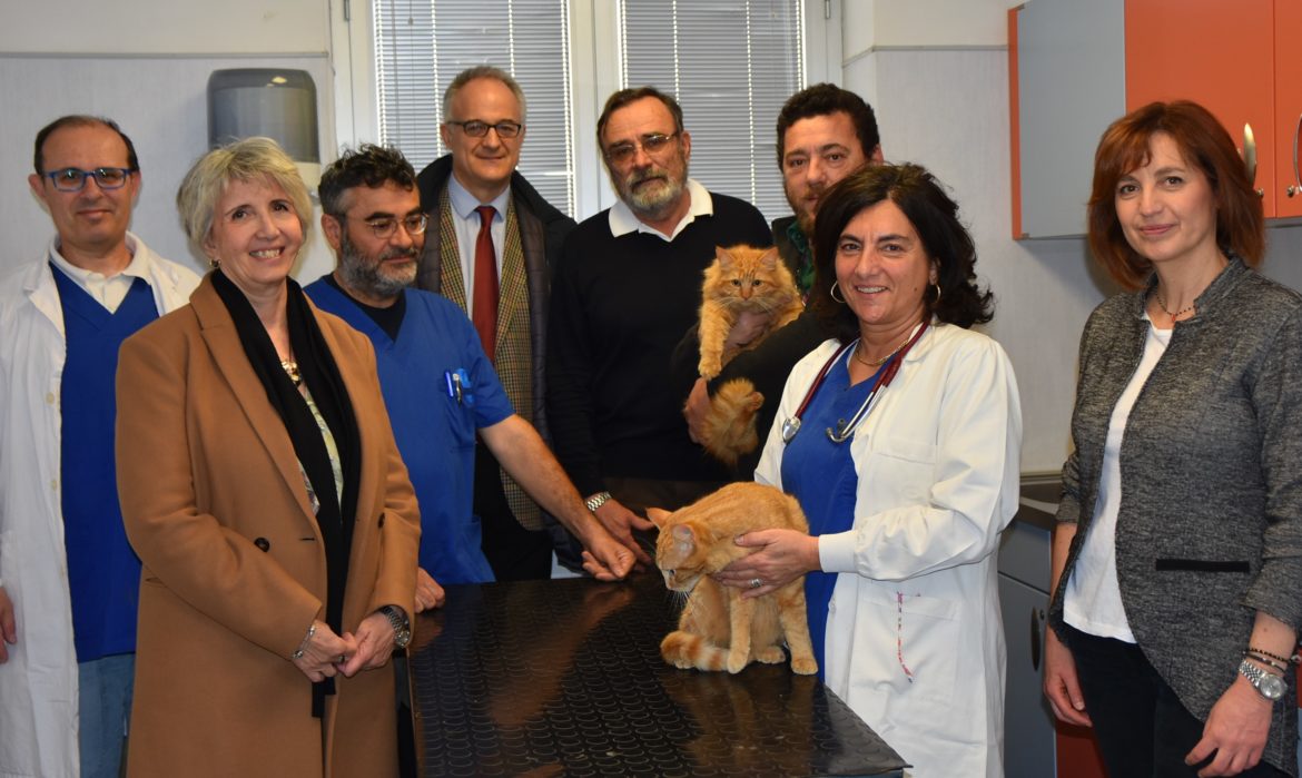 microchip-gatti-1