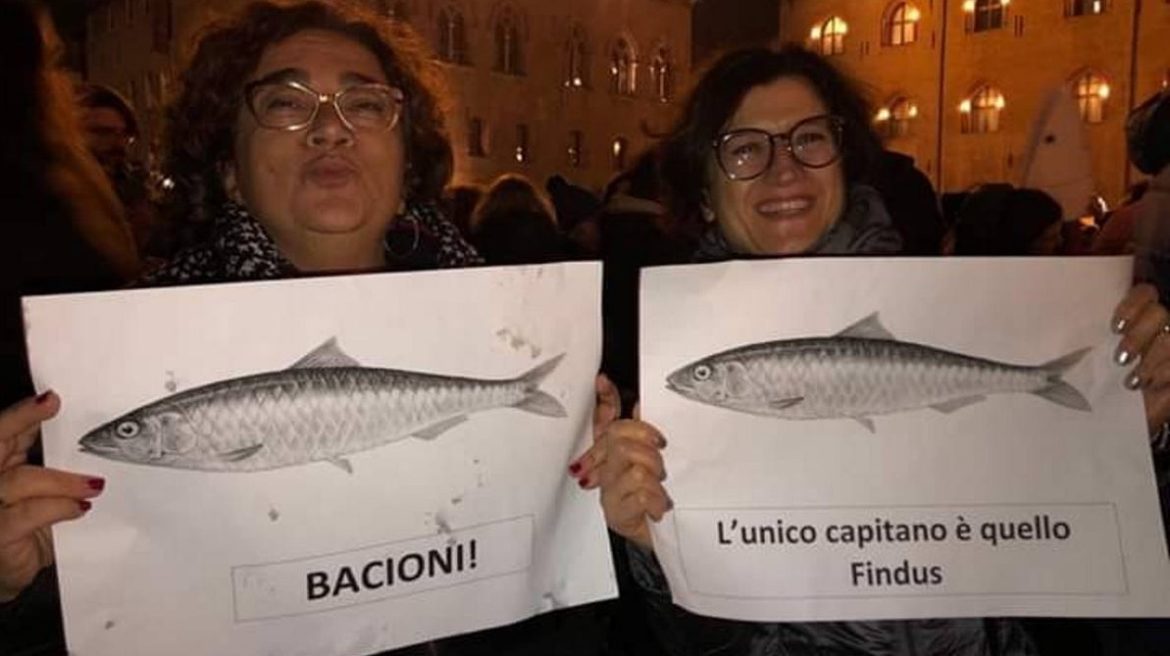 sardine